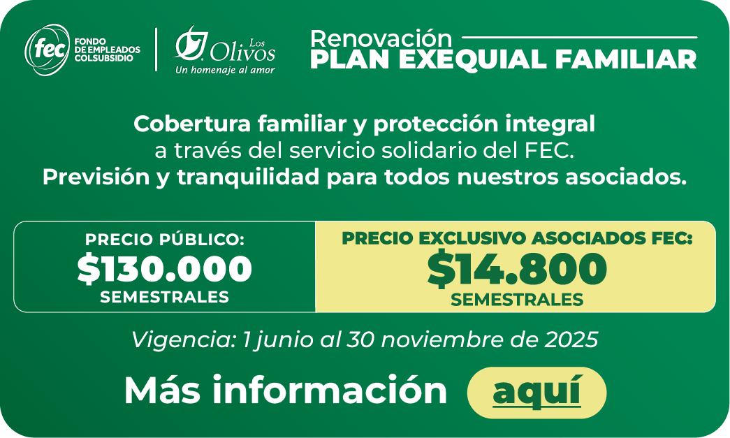 Renovacion Los Olivos