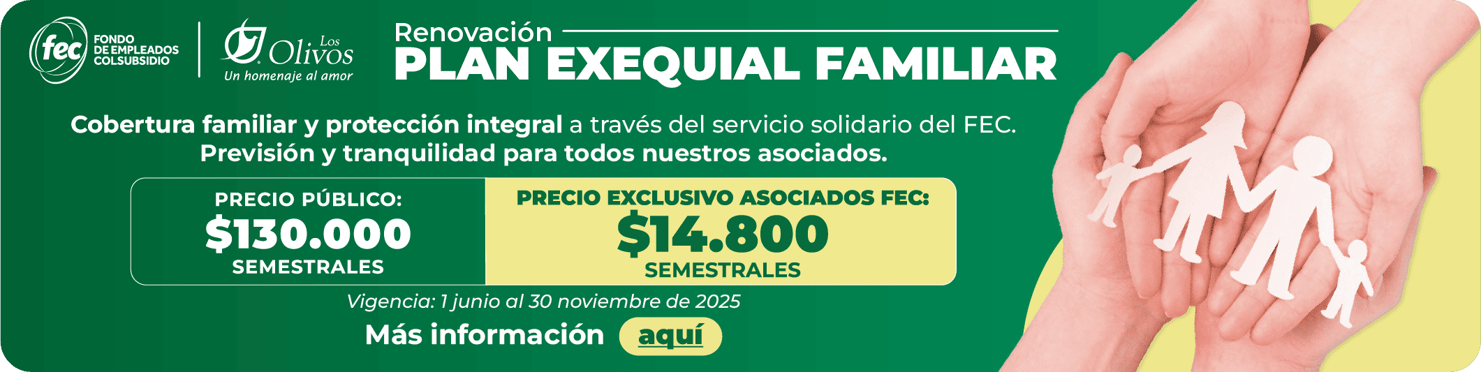 Renovacion Los Olivos