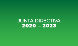 junta directiva