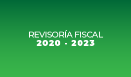 revisoria fiscal