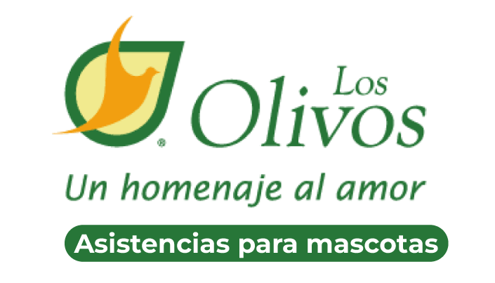 los olivos