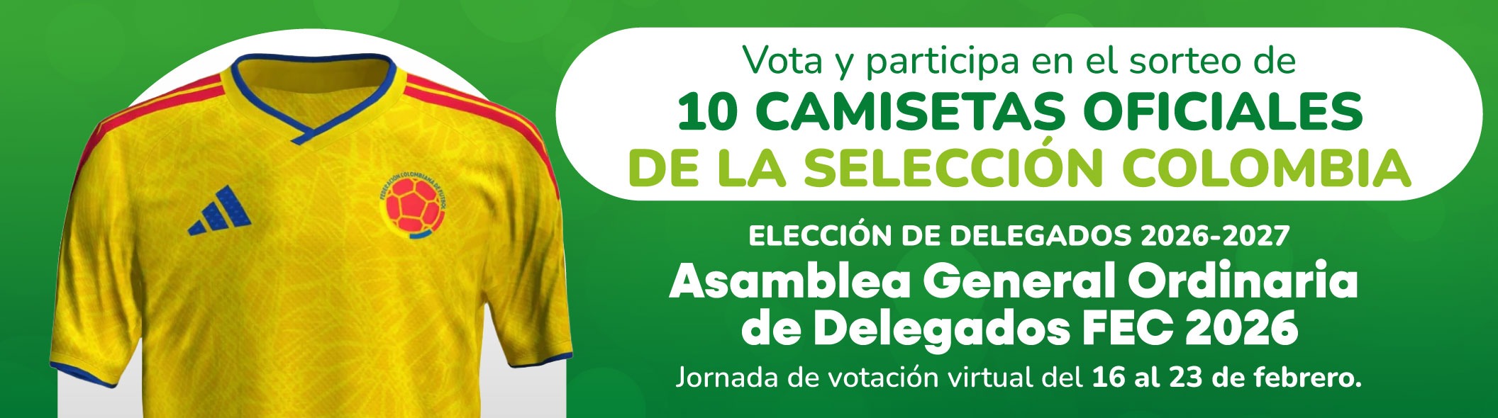 Asamblea Votaci&oacute;n
