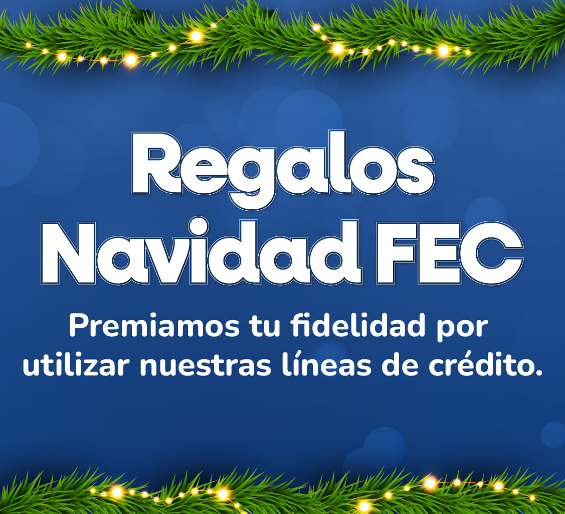 Programa Regalos Navidad FEC